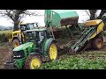 michael ryan u0026 son ~ pulling beet new ross