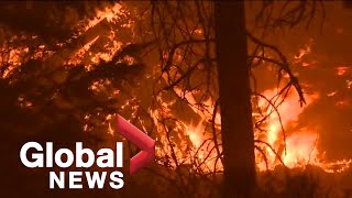 California's Dixie Fire continues to grow into 13th largest wildfire in state history