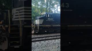 Two thoroughbreds at speed! NS 4043 and 4242! #train