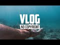 JayJen & Lichu   Tropical Surfing Vlog No Copyright Music