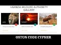 How to create Simple & Responsive Cards using Materialize CSS