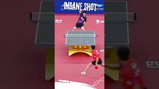 Insane shot from Fan zhendong #pingpongtable #tabletennis #pingpong