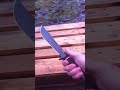 sog creed quick overview light demo