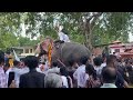 aanayoot at panayil devi temple nooranad part 2