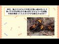 【2ch動物スレ】最強昆虫トンボさん、死んだ状態でも自動制御で姿勢を安定化できることが判明www