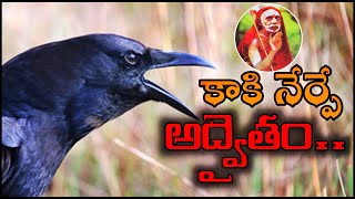 కాకి నేర్పే అద్వైతం|| పరమాచార్య స్వామి|Jstarjc vlogs|kaki|Motivational