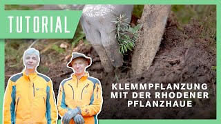 Wolfi & Sepp zeigen: Klemmpflanzung mit der Rhodener Pflanzhaue I Tutorial #Pflanzung #Pflanzen