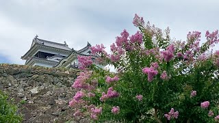 2020/08/05　百日紅の花が咲く大洲城　～愛媛県大洲市～