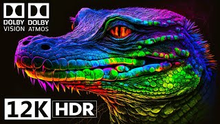 12K HDR VIDEO ULTRA HD 240 FPS | Best of Dolby Vision & Dolby Atmos