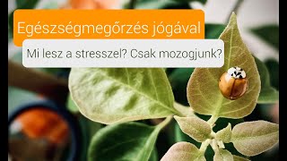 Stresszesen nem tudsz se jól mozogni, se jól lélegezni!