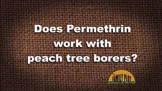 Q A Does Permethrin Work With Peachtree Borers