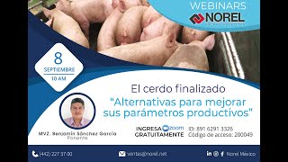 WEBINAR NOREL: EL CERDO FINALIZADO, ALTERNATIVAS PARA MEJORAR SUS PARÁMETROS PRODUCTIVOS