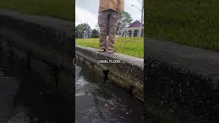 Found Beneath the Surface | The Louisiana Cold Case That Shocked Everyone (2025)