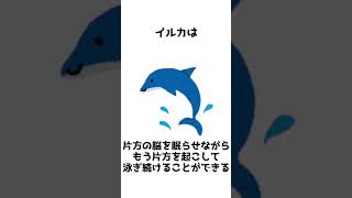 明日誰かに話したくなる動物の雑学5選。【聞き流し】#shorts