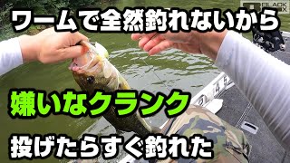 【芹川ダム】ワームで釣れない日はクランク投げよう【嫌いだけど得意】