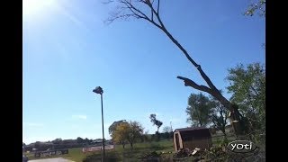 Stupid tree cutting mistakes (Prt 4)