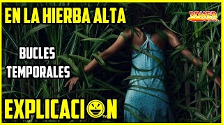 En La Hierba Alta | Análisis y Explicación | In The Tall Grass | Final explicado Película explicada