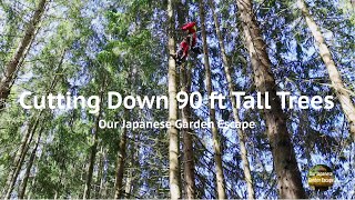 Felling 90 feet Tall Conifers | Our Japanese Garden Escape