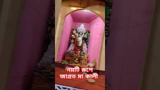 এক সঙ্গে নয়টি রূপে পূজিত জাগ্রত মা কালী 🌺😌🙏 ~ #shorts #youtubeshorts #kalipuja #maakali