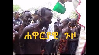 ሐዋርያዊ ጉዞ 2001 ዓ.ም | ቤተ ቅኔ - Beta Qene