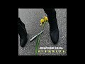 Delphine Coma - Dissolve
