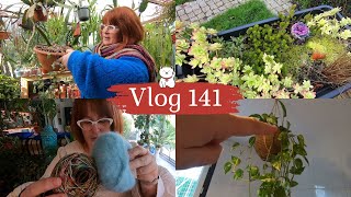 VLOG 141