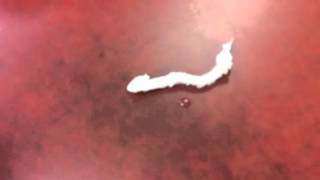Straw Wrapper Worm