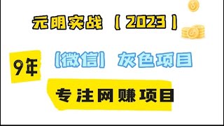 灰色吸金项目，网络赚钱的最快方式！微信灰色产业链，拆解灰色擦边项目的玩法