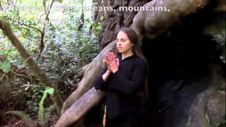 Yoga in the Redwoods - Indra's Net Mantra