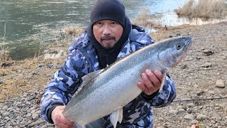 Chasing Winter Steelhead In The PNW #3