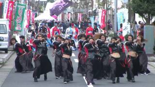 輝翔連　第１２回黒潮よさこい祭り2015