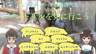 豊橋にある「のんほいパーク」の動物園にいる動物たちの様子を配信しています。