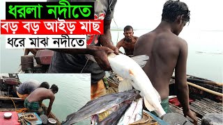 উত্তরবঙ্গের ধরলা নদীতে বড় বড় আইর মাছ মাঝ নদীতে নৌকা করে ধরে।Dorla River Fishing । Village River Fish