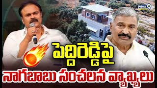 పెద్దిరెడ్డి పై నాగబాబు సంచలన వ్యాఖ్యలు | Nagababu's Sensational Comments on Peddi Reddy | Prime9