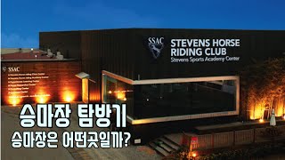 *4K*  Steven's equestrian club in South Korea