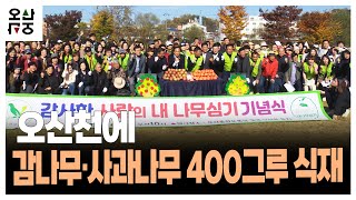 오산천에 감나무·사과나무 400그루 식재