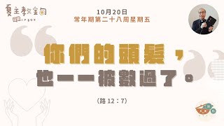 夏主教金句INBOX：10月20日常年期第二十八周星期五【你們的頭髮，也一一被數過了】（路  12：7）