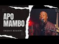 Tinashey Mutandwa - Apo Mambo