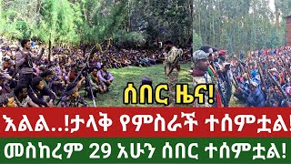 ሰበር ዜና|አሁን መስከረም 29 ታላቅ የምስራች ዜና ተሰምቷል|voa amharic news|amhara daily