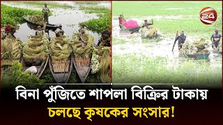 বিনা পুঁজিতে শাপলা বিক্রির টাকায় চলছে কৃষকের সংসার! | Water lilies | Channel 24