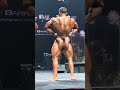 2024 DMS China bodybuilding championship, -90kg category