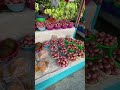 Membeli buah di Tamu Kampung Duyoh, Bau Sarawak