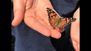 Bethesda Presbyterian Camden - 2020 Easter Sunday Butterfly Release