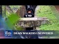 Singapore’s mysterious ‘drain walkers’ | THE BIG STORY | The Straits Times