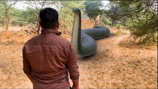 Anaconda Snake Attack in Real Life | Big anaconda snake in Real life 6 | HD Video VB FILM
