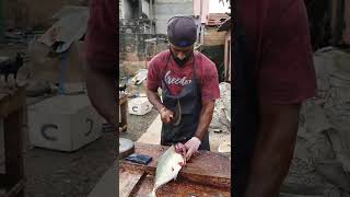 OMG Trevally Fish Cutting Under 1 Minute | Master Cutting Skills