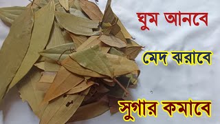 শুধু তেজপাতা এইভাবে খান ঠেসে আসবে ঘুম, মোটা চেহারা হবে ফিনফিনে...Benifits of Bay Leaf...