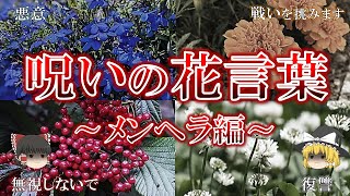 不吉な花言葉を持つ花5選～その２～【ゆっくり解説】