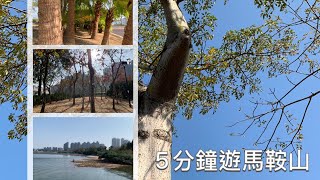 香港這一刻：5分鐘遊馬鞍山公園 烏溪沙 沙灘 白鴿飛舞