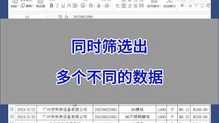 WPS Excel：同时筛选出多个不同的数据。#excel #wps #办公技巧